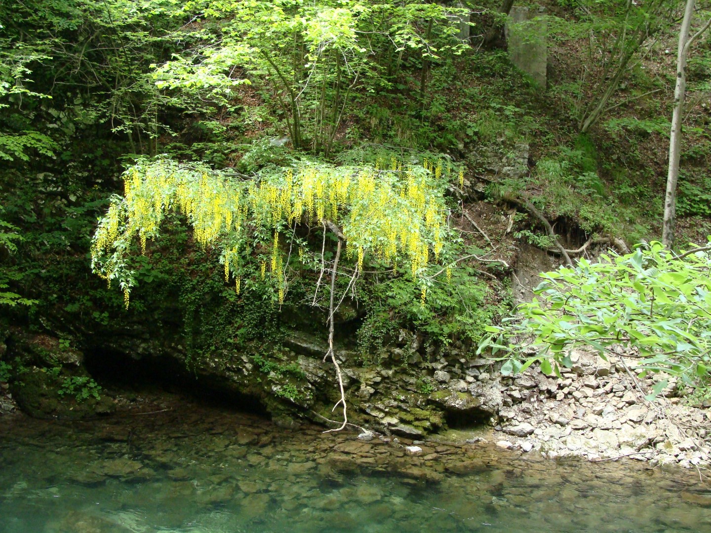 2016-05-26 bis 29 Frhjahrsausfahrt Bled